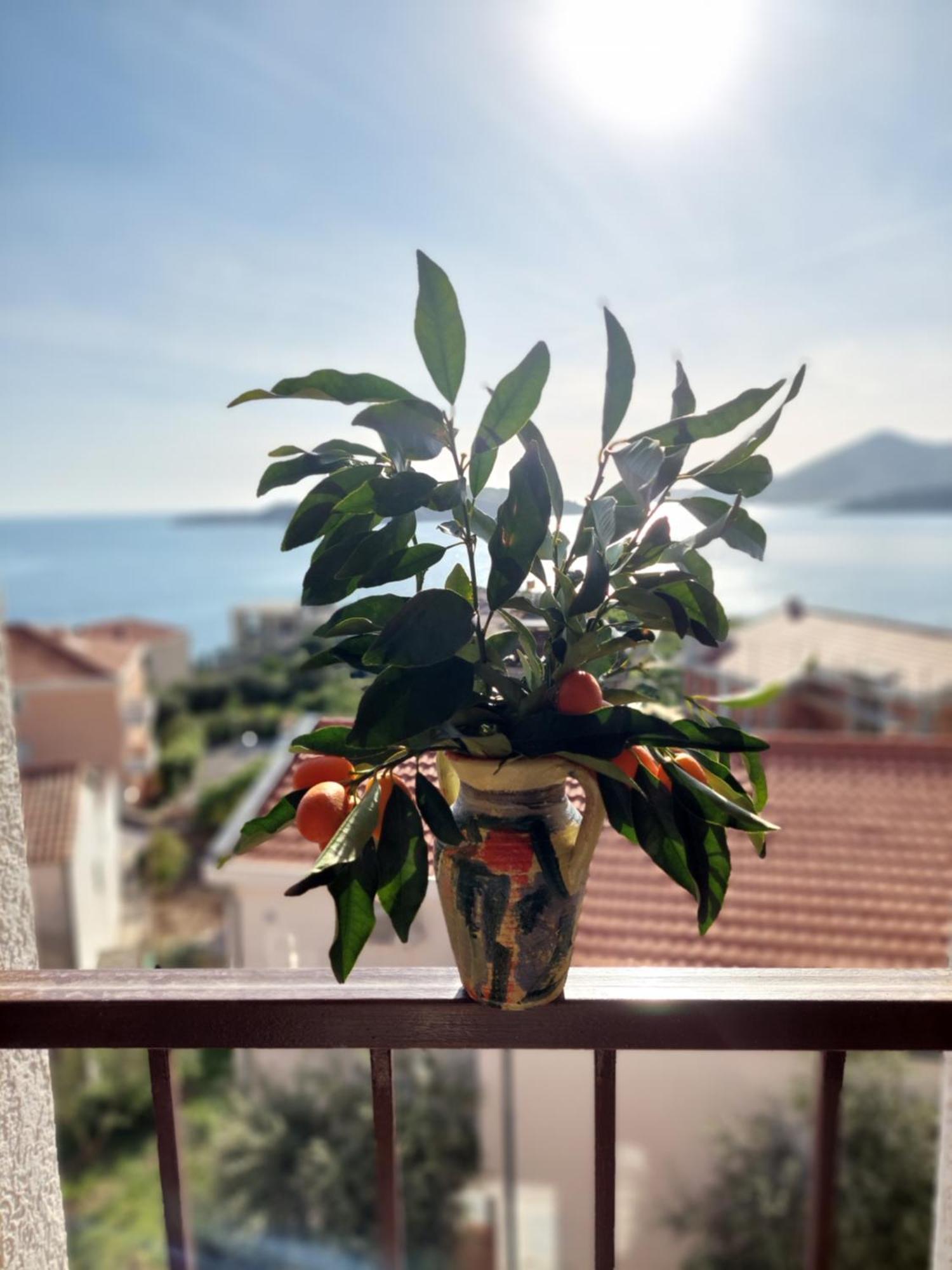 Apartmani Dalex Budva Buitenkant foto